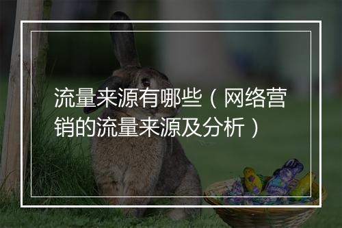 流量来源有哪些（网络营销的流量来源及分析）
