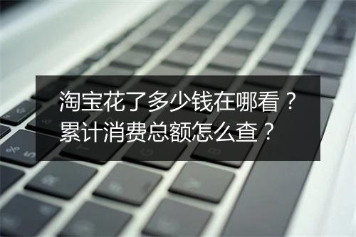 淘宝花了多少钱在哪看？累计消费总额怎么查？