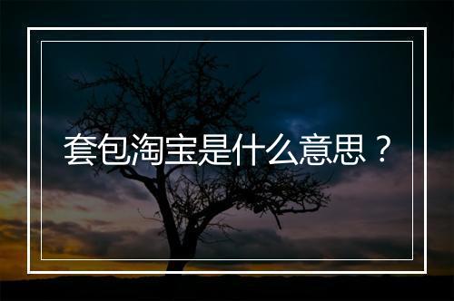 套包淘宝是什么意思？