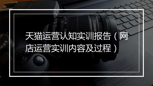 天猫运营认知实训报告（网店运营实训内容及过程）