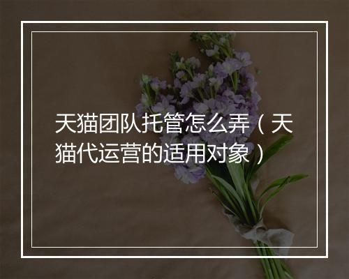天猫团队托管怎么弄（天猫代运营的适用对象）