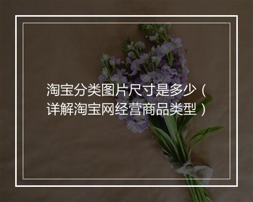 淘宝分类图片尺寸是多少（详解淘宝网经营商品类型）