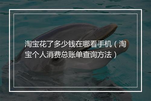 淘宝花了多少钱在哪看手机（淘宝个人消费总账单查询方法）