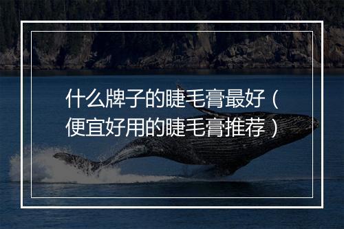 什么牌子的睫毛膏最好（便宜好用的睫毛膏推荐）