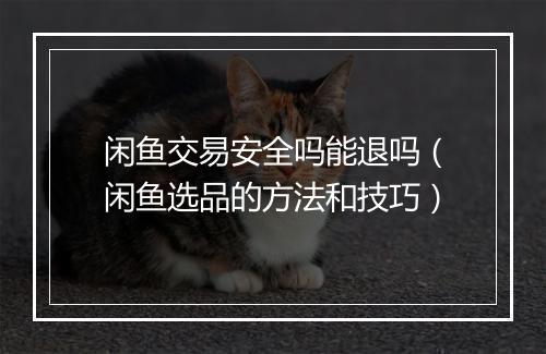 闲鱼交易安全吗能退吗（闲鱼选品的方法和技巧）
