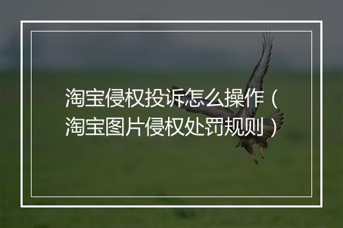 淘宝侵权投诉怎么操作（淘宝图片侵权处罚规则）