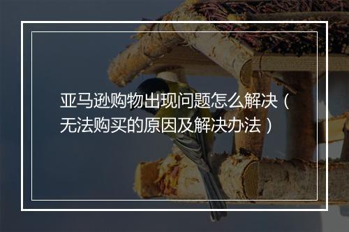 亚马逊购物出现问题怎么解决（无法购买的原因及解决办法）