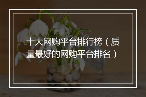 十大网购平台排行榜（质量最好的网购平台排名）