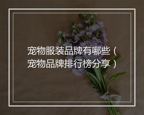 宠物服装品牌有哪些（宠物品牌排行榜分享）