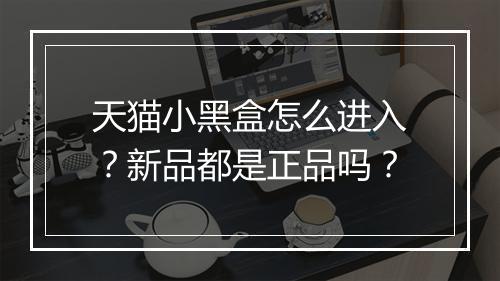 天猫小黑盒怎么进入？新品都是正品吗？