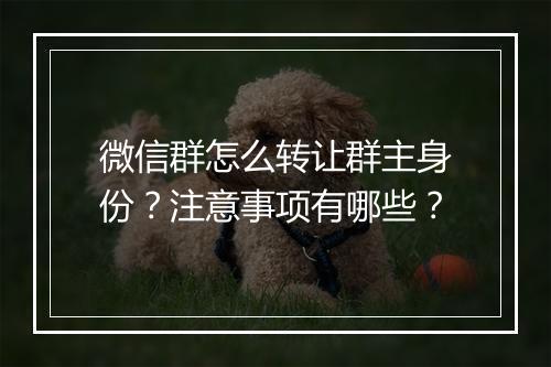 微信群怎么转让群主身份？注意事项有哪些？