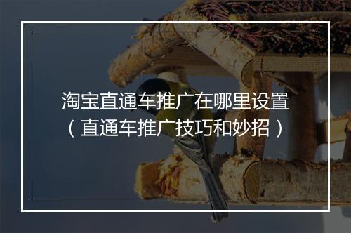 淘宝直通车推广在哪里设置（直通车推广技巧和妙招）