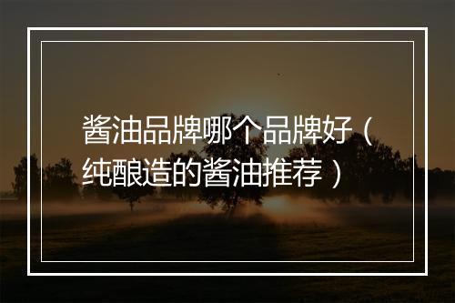 酱油品牌哪个品牌好（纯酿造的酱油推荐）