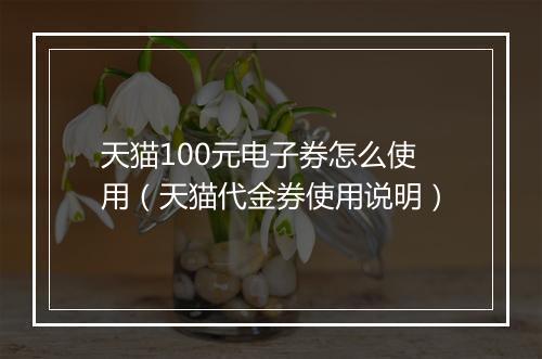 天猫100元电子券怎么使用（天猫代金券使用说明）