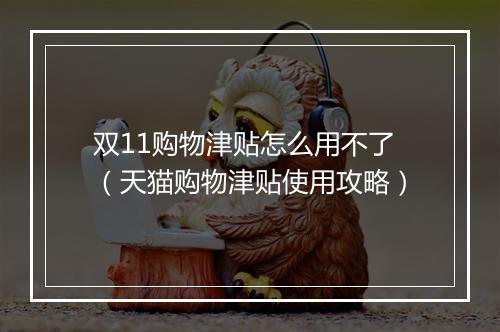 双11购物津贴怎么用不了（天猫购物津贴使用攻略）