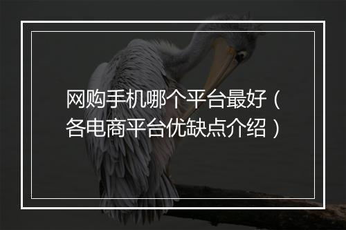 网购手机哪个平台最好（各电商平台优缺点介绍）