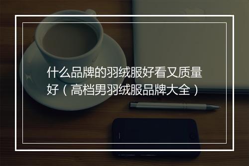 什么品牌的羽绒服好看又质量好（高档男羽绒服品牌大全）