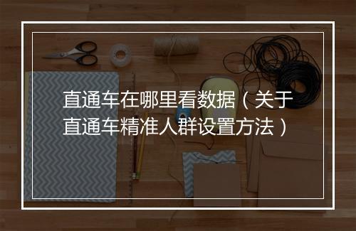 直通车在哪里看数据（关于直通车精准人群设置方法）