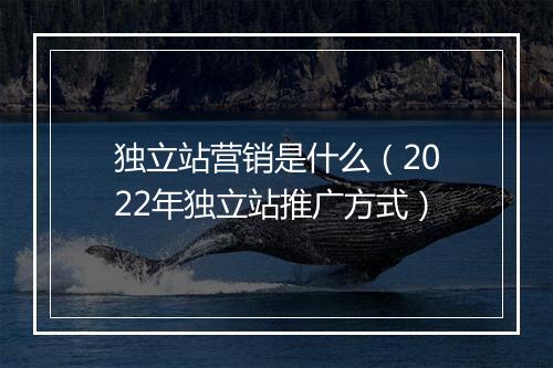 独立站营销是什么（2022年独立站推广方式）