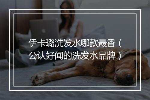 伊卡璐洗发水哪款最香（公认好闻的洗发水品牌）