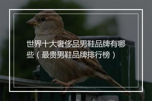 世界十大奢侈品男鞋品牌有哪些（最贵男鞋品牌排行榜）