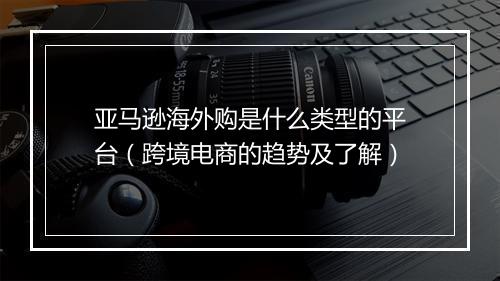 亚马逊海外购是什么类型的平台（跨境电商的趋势及了解）