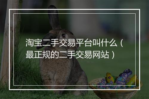淘宝二手交易平台叫什么（最正规的二手交易网站）