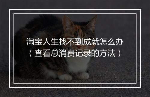 淘宝人生找不到成就怎么办（查看总消费记录的方法）