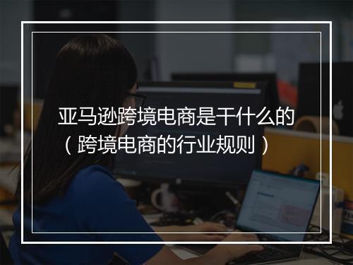 亚马逊跨境电商是干什么的（跨境电商的行业规则）