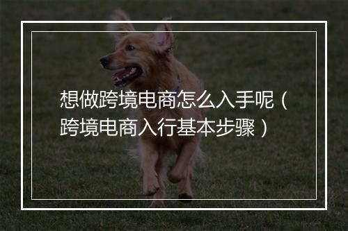 想做跨境电商怎么入手呢（跨境电商入行基本步骤）