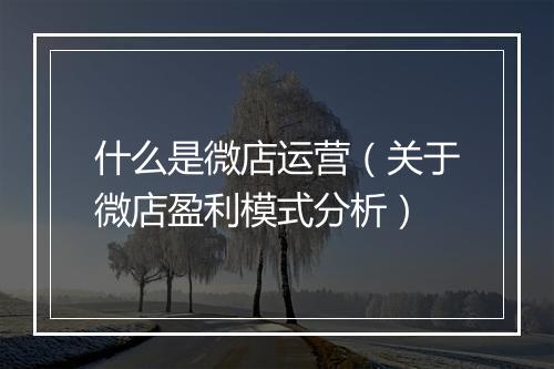 什么是微店运营（关于微店盈利模式分析）