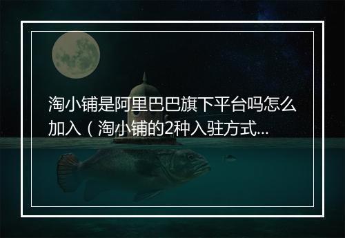 淘小铺是阿里巴巴旗下平台吗怎么加入（淘小铺的2种入驻方式）
