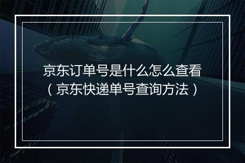 京东订单号是什么怎么查看（京东快递单号查询方法）