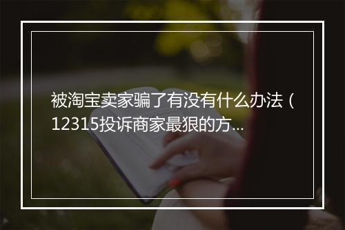 被淘宝卖家骗了有没有什么办法（12315投诉商家最狠的方法）