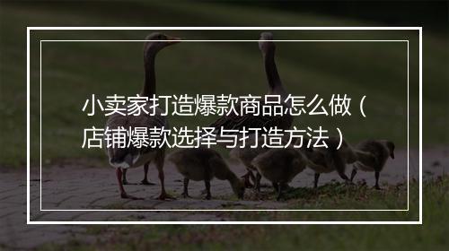 小卖家打造爆款商品怎么做（店铺爆款选择与打造方法）