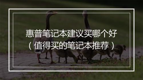 惠普笔记本建议买哪个好（值得买的笔记本推荐）