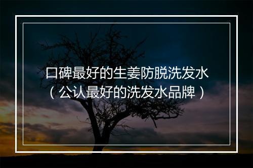 口碑最好的生姜防脱洗发水（公认最好的洗发水品牌）