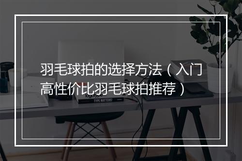 羽毛球拍的选择方法（入门高性价比羽毛球拍推荐）