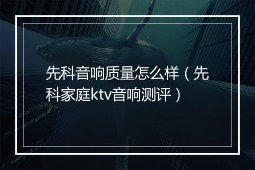 先科音响质量怎么样（先科家庭ktv音响测评）