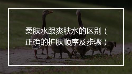 柔肤水跟爽肤水的区别（正确的护肤顺序及步骤）