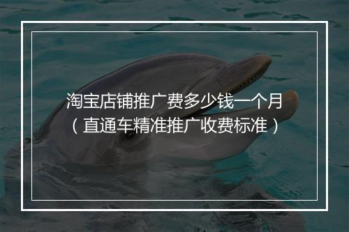 淘宝店铺推广费多少钱一个月（直通车精准推广收费标准）