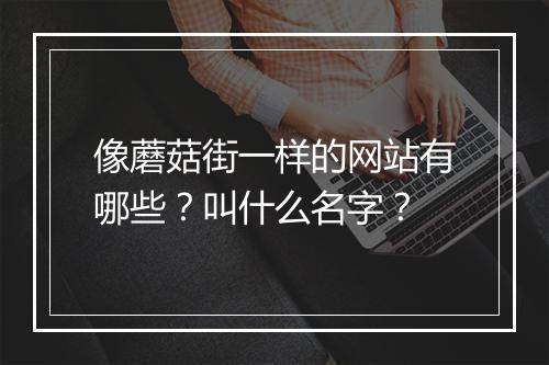 像蘑菇街一样的网站有哪些？叫什么名字？
