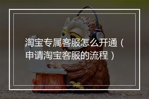 淘宝专属客服怎么开通（申请淘宝客服的流程）