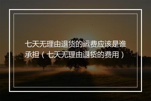 七天无理由退货的运费应该是谁承担（七天无理由退货的费用）