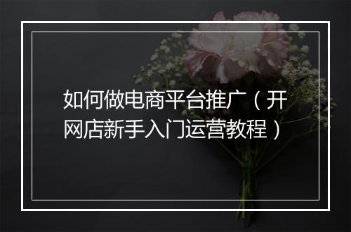 如何做电商平台推广（开网店新手入门运营教程）