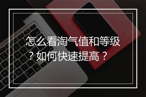 怎么看淘气值和等级？如何快速提高？