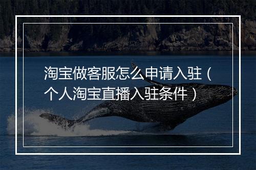 淘宝做客服怎么申请入驻（个人淘宝直播入驻条件）