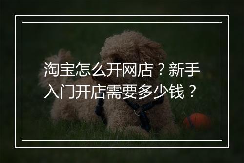 淘宝怎么开网店？新手入门开店需要多少钱？