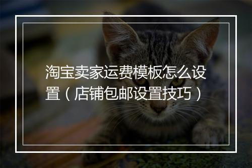 淘宝卖家运费模板怎么设置（店铺包邮设置技巧）
