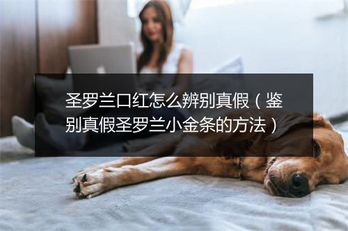 圣罗兰口红怎么辨别真假（鉴别真假圣罗兰小金条的方法）